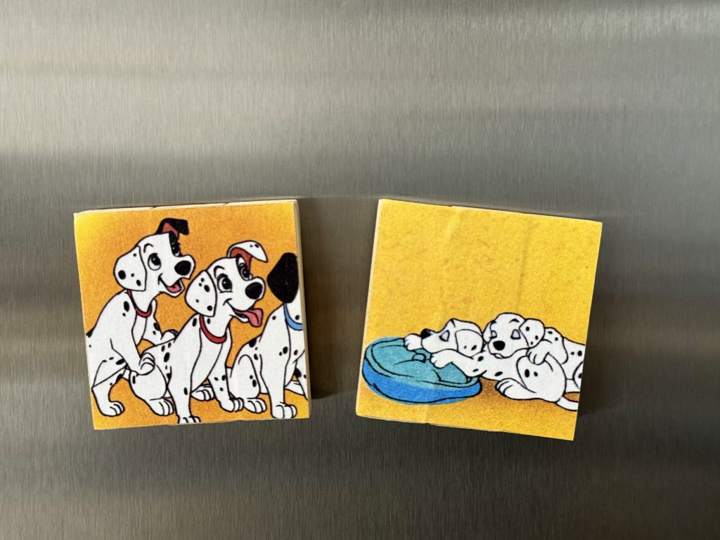 Dalmatian magnets