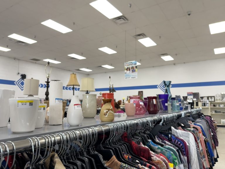thrift store vases and lamps